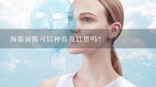 海藻面膜可以种在鱼缸里吗？