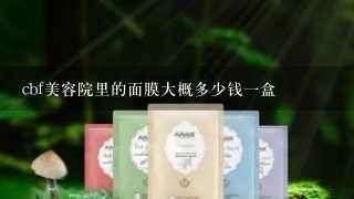 cbf美容院里的面膜大概多少钱一盒