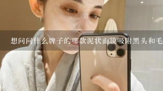 想问问什么牌子的哪款泥状面膜吸附黑头和毛孔垃圾的效果好?