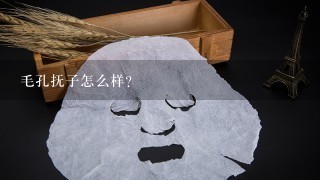 毛孔抚子怎么样?