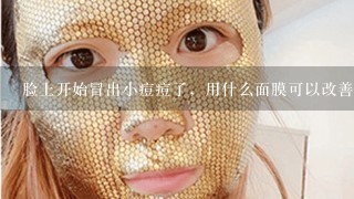 脸上开始冒出小痘痘了，用什么面膜可以改善？