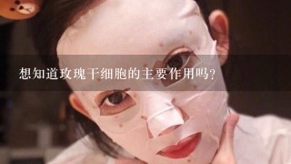 想知道玫瑰干细胞的主要作用吗？