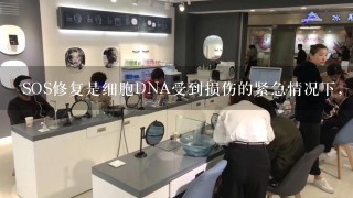 SOS修复是细胞DNA受到损伤的紧急情况下，为求得生存而出现的应急修复。常缺乏准确性。()