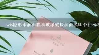 wis隐形水润面膜和玻尿酸极润面膜哪个补水效果好？