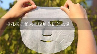 毛孔抚子稻米面膜用英语怎么说